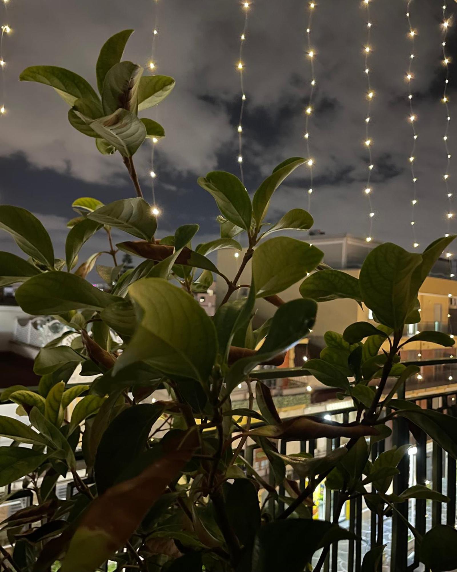 B&B D'Aponte Home Volla  Dış mekan fotoğraf